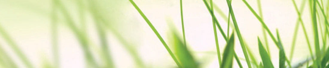 Pams Beauty. Combining holistic and beauty treatments logo
