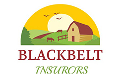Blackbelt Insurors Inc logo