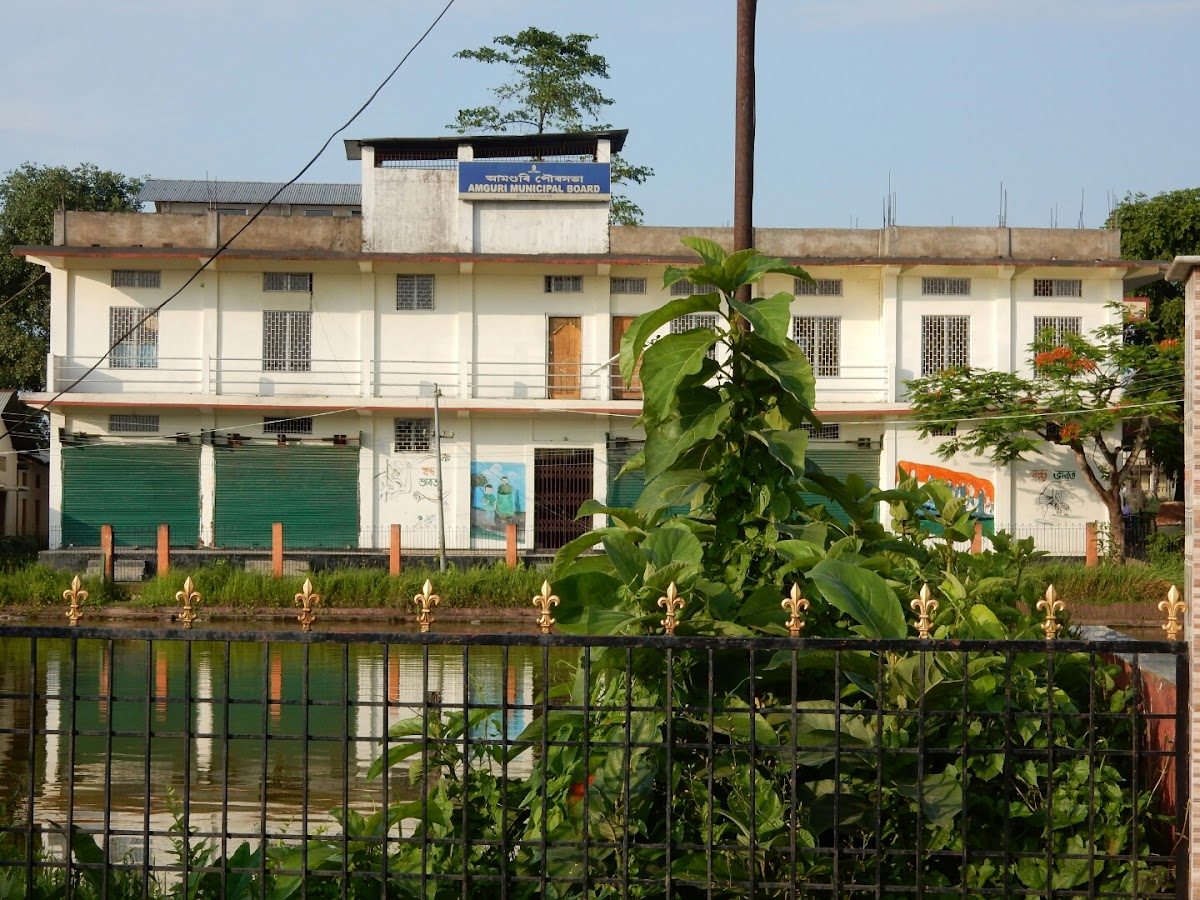 Amguri Municipal Board