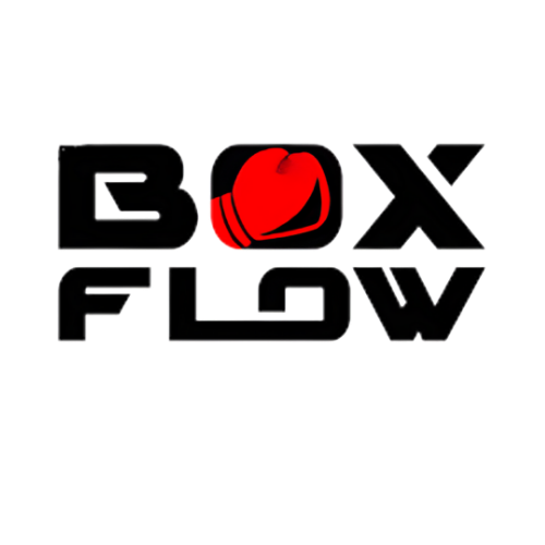 BoxFlow logo