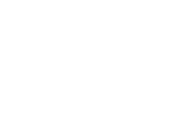 Blind Tiger Communications logo