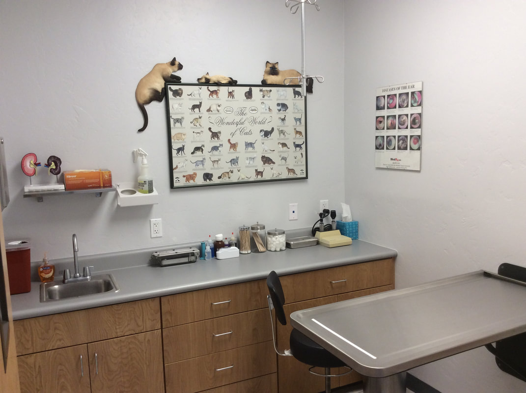 Mule Mountain Animal Hospital logo