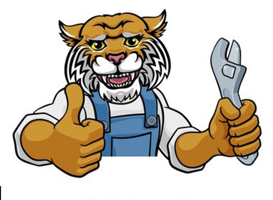 Wildcat Waterworks Plumbing logo
