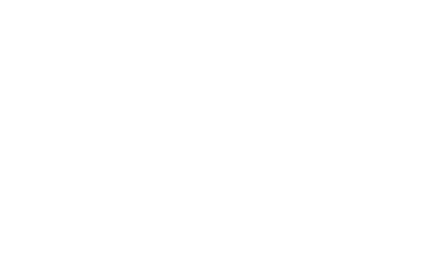 DLuxe Car Care logo