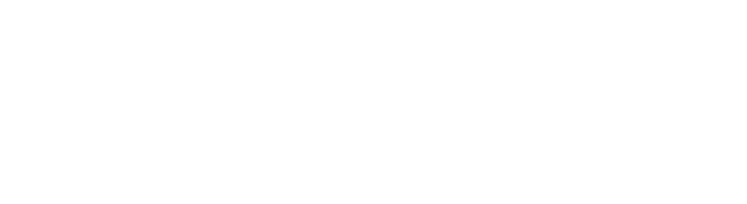 Nirvana Spa logo