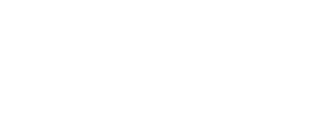 No Limit Agency logo