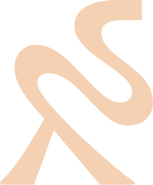 RVD Communications logo
