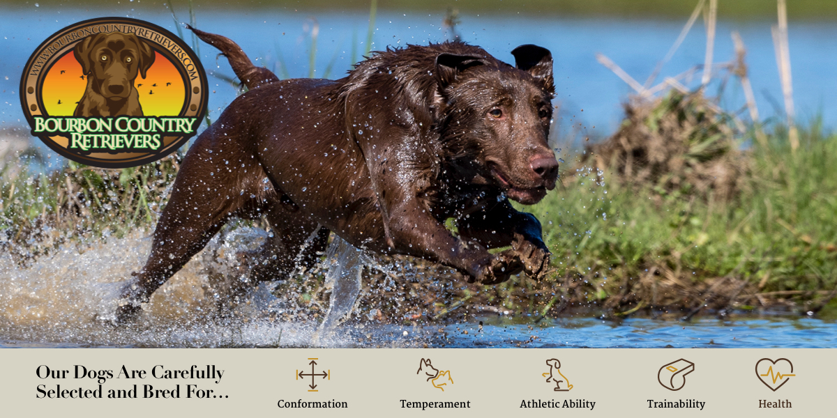 Bourbon Country Retrievers