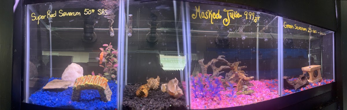 Plymouth Pet & Aquarium