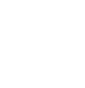 Moore Home Services NC logo
