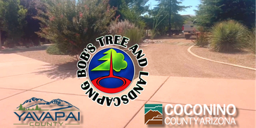 Bob's Tree and Landscaping logo