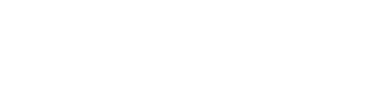 Sky-Work logo