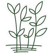 Elaine Sadler Skin Health logo