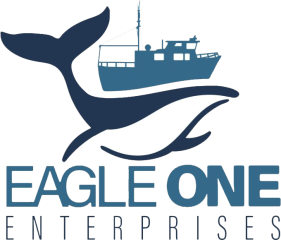 Eagle One Enterprises LLC logo