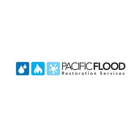 Pacific Flood Restoration San Marcos