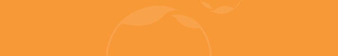 Delia Maria Home Care Agency logo