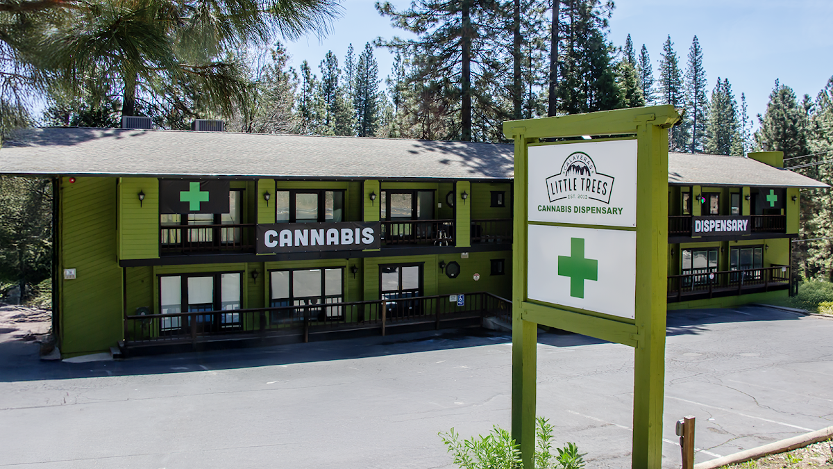 Green Gold's Little Trees