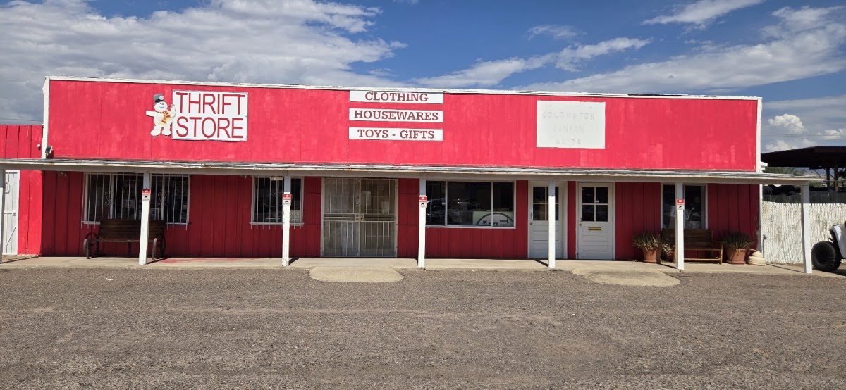Toni's Thrift