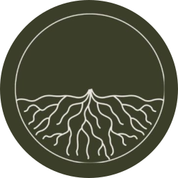 Nour Wellness Hub logo