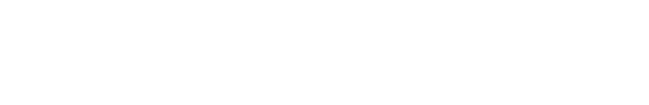 DIGITAL SCIENTISTS ® logo