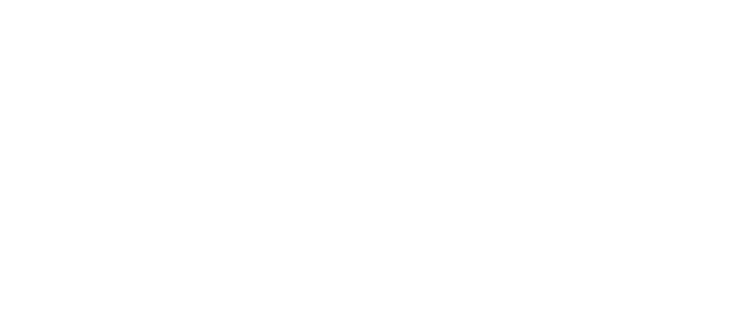 Flow Fitness logo