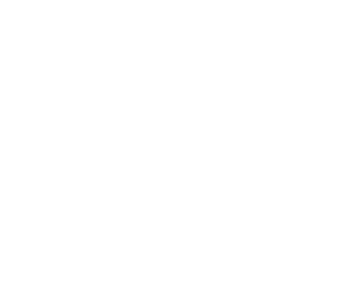 The Pines Home Health & Hospice logo