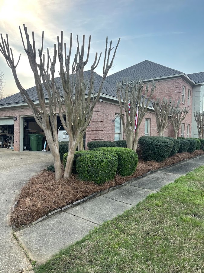 R & J Lawn Care Service LLC