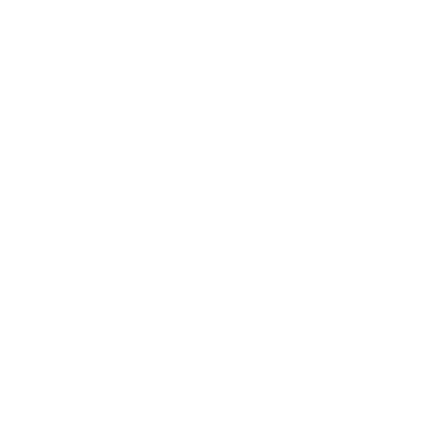 Tru°North Studios logo