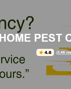 Hommlie - Commercial and Residential Pest Control Company photo 1