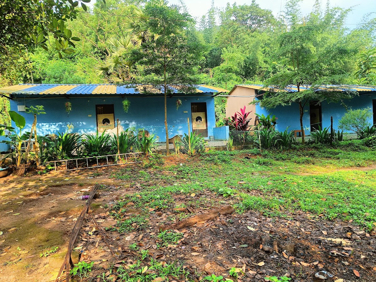 Bluemoon Eco Resorts