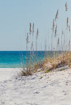Dauphin Island Vacation Rentals and Beach Homes by Avari logo