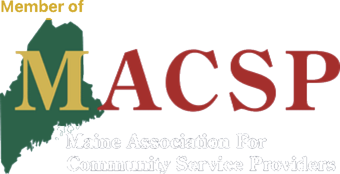 Lighthouse Health Services logo