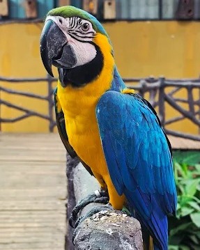 Fundera park - Birds park photo 1