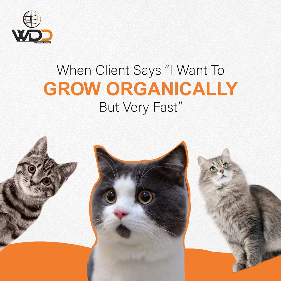 World of Digital Dudes - Digital Marketing Company | SMM | SEO | Website Dev. | AI Automations | Lead Generation