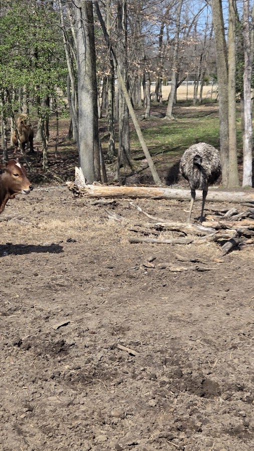 WorkHorse Farm Rescue & Exotics