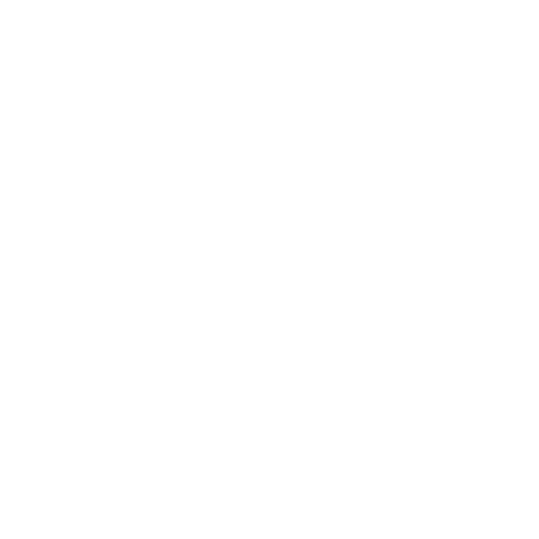 LLC logo