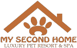 My Second Home Dubai-DIP logo