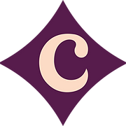The Space Within Wellbeing Studio logo