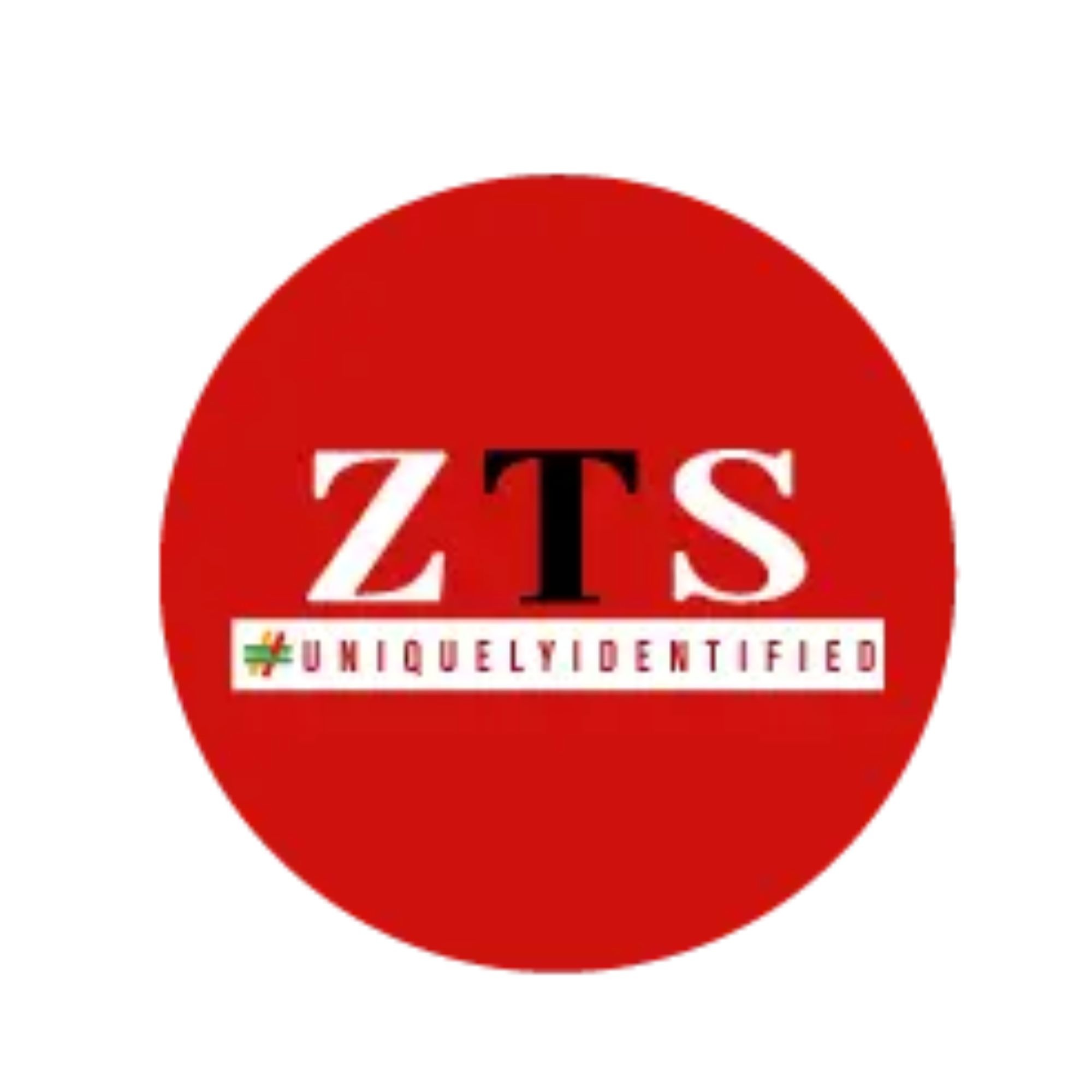 Zts India logo