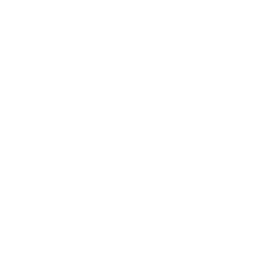 Oliver The Chiropractor logo