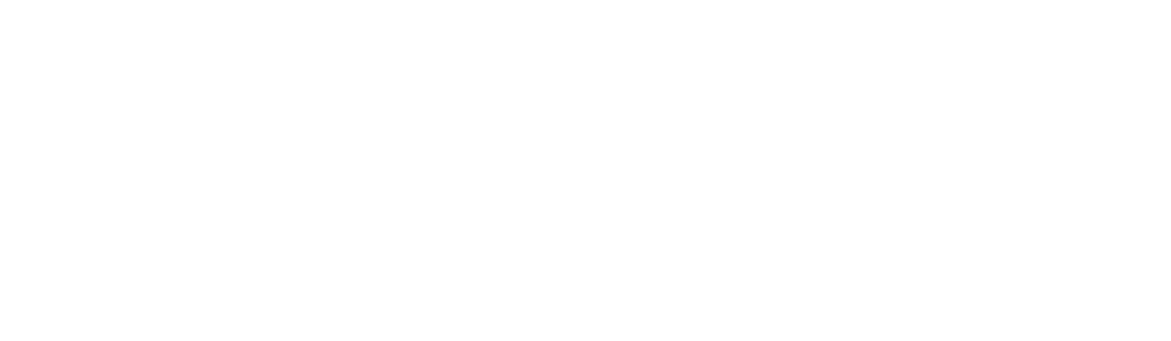 Water Street Solutions logo