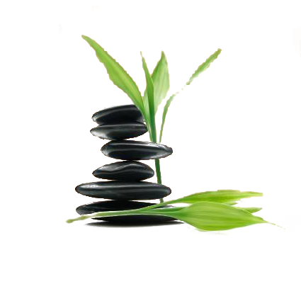 SB Therapy logo