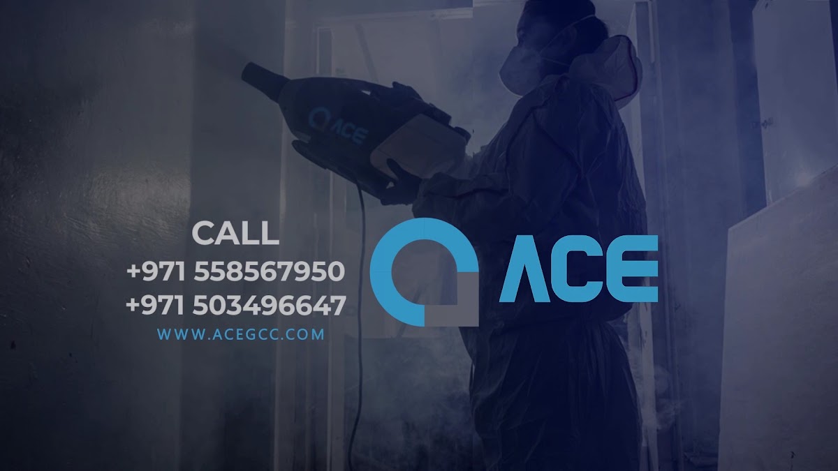 ACE - (Advanced Cleaning Equipment)