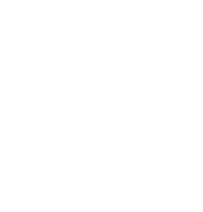 Safe & Warm Chimney Service logo