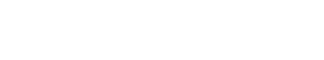 Perimeter Behavioral of the Ozarks logo