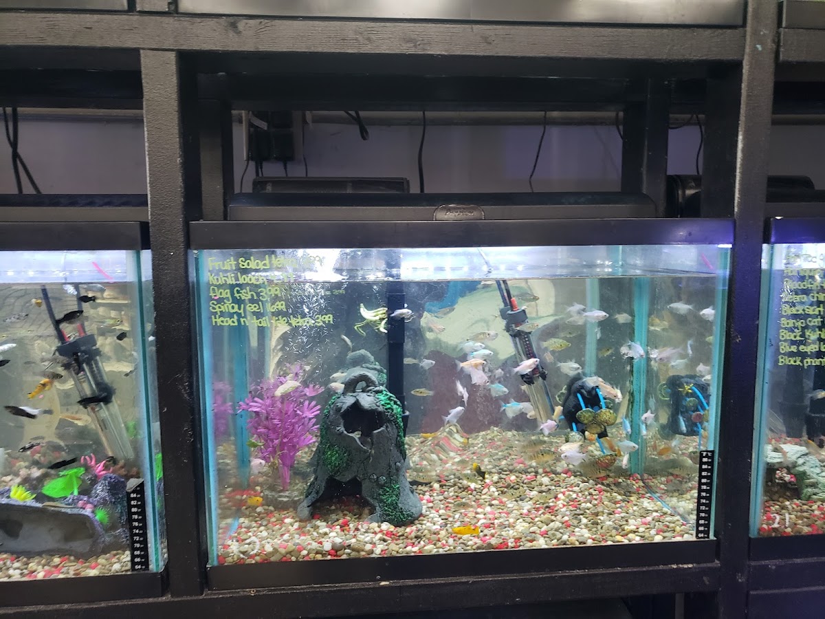 Family Pet Connection