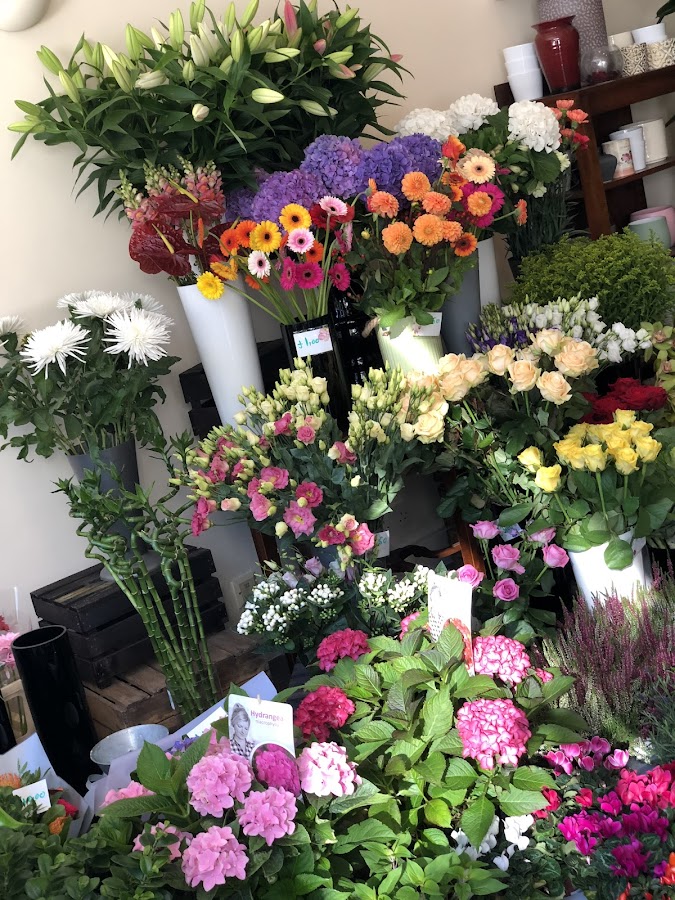 Abbey Road Flowers