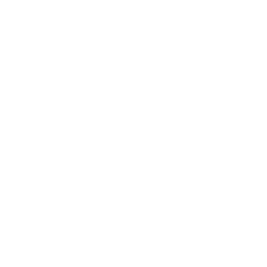 Digital Marketing Agency Tampa logo
