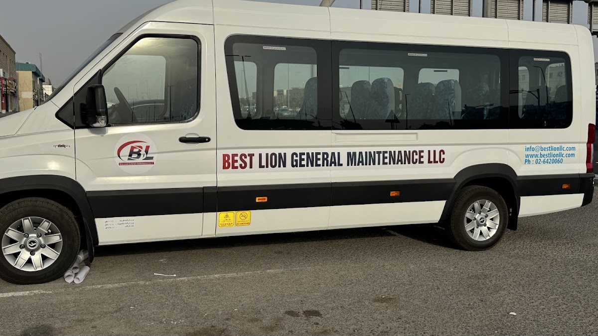 Best Lion LLC