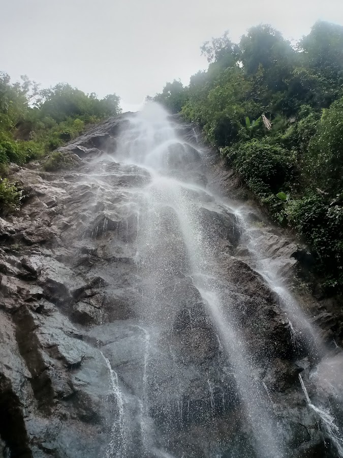 Araku Tour Packages